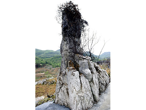 神秘石林(lín)