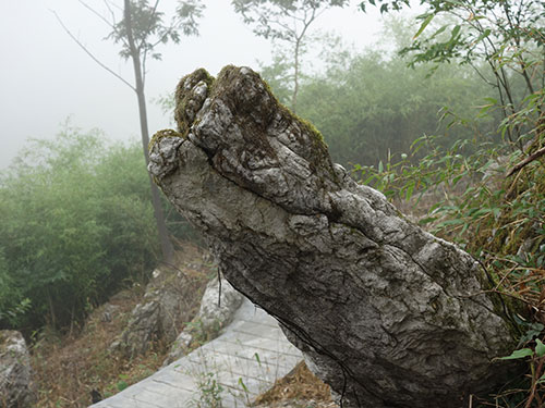 神秘石林(lín)