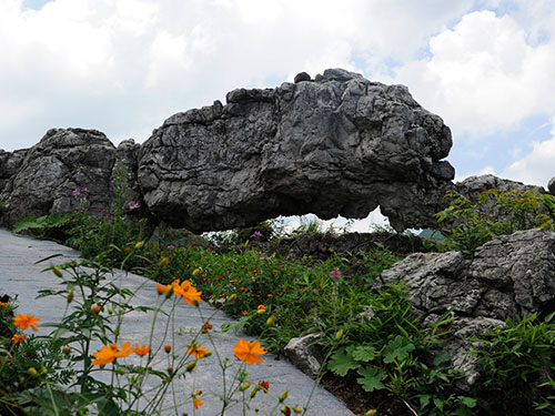 神秘石林(lín)