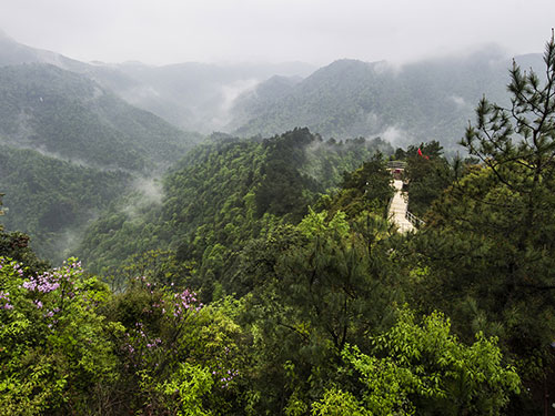 懸崖棧道(dào)