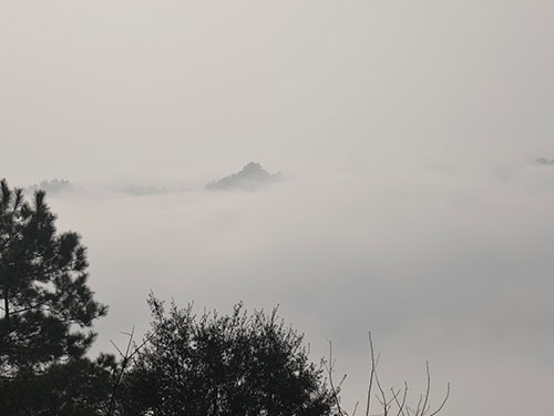 雪(xuě)景彌漫