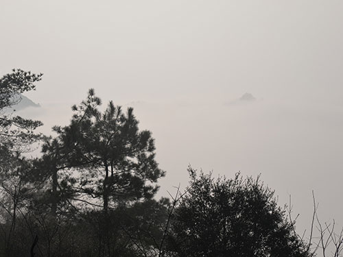 雪(xuě)景彌漫