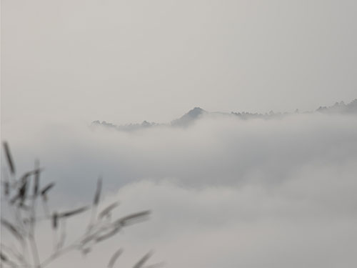 雪(xuě)景彌漫
