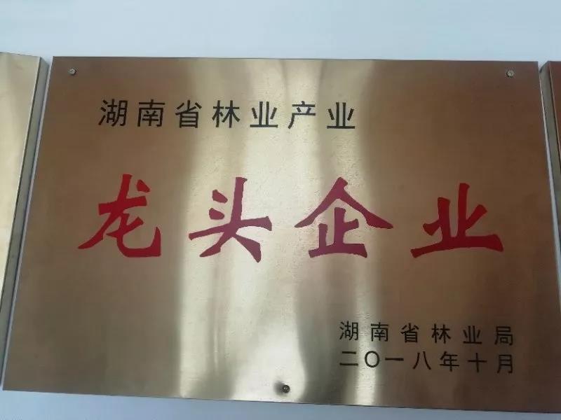 湖(hú)南(nán)旅遊開(kāi)發公司,懷化(huà)旅遊開(kāi)發公司,懷化(huà)峽谷探幽,懷化(huà)石林(lín)花(huā)山(shān)植物(wù)園